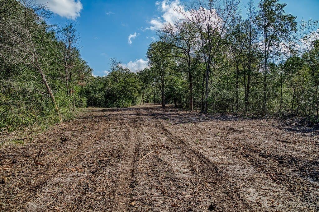 10 acres in Washington County - photo 8