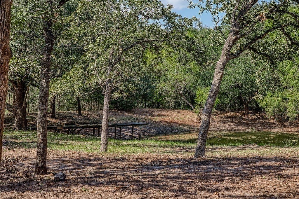 10 acres in Washington County - photo 15