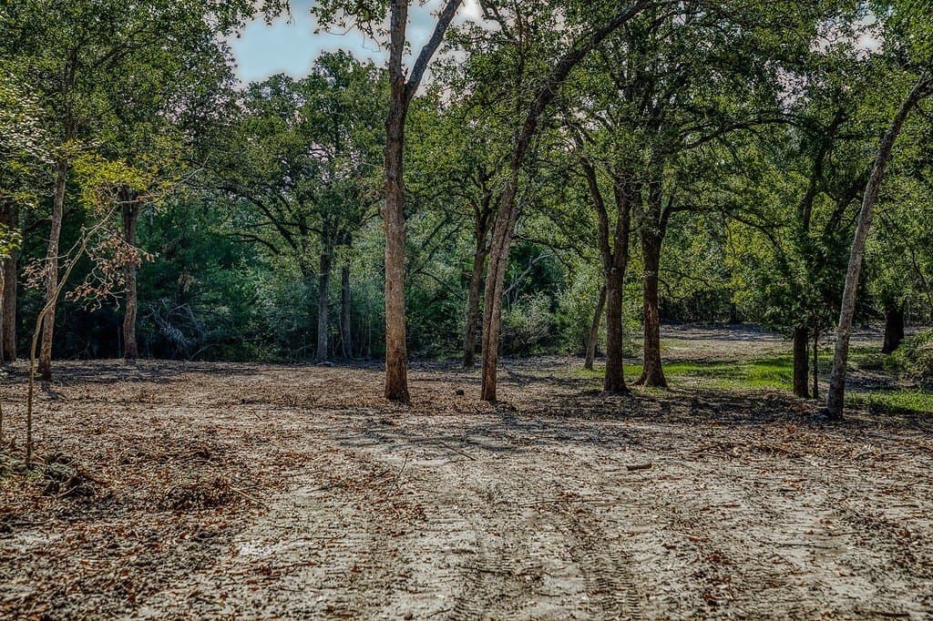 10 acres in Washington County - photo 17