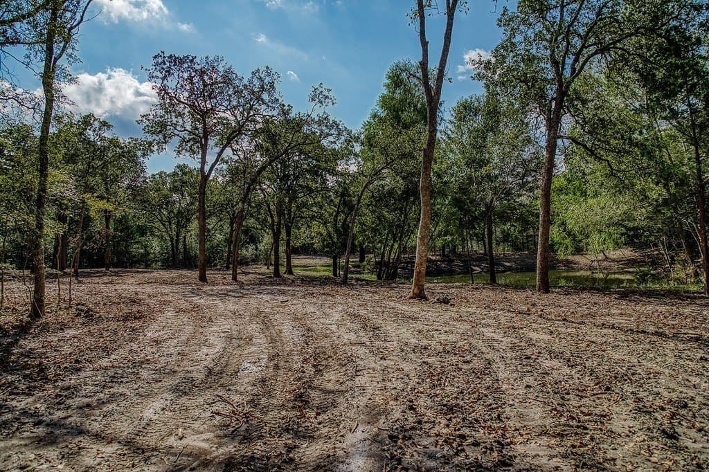 10 acres in Washington County - photo 18