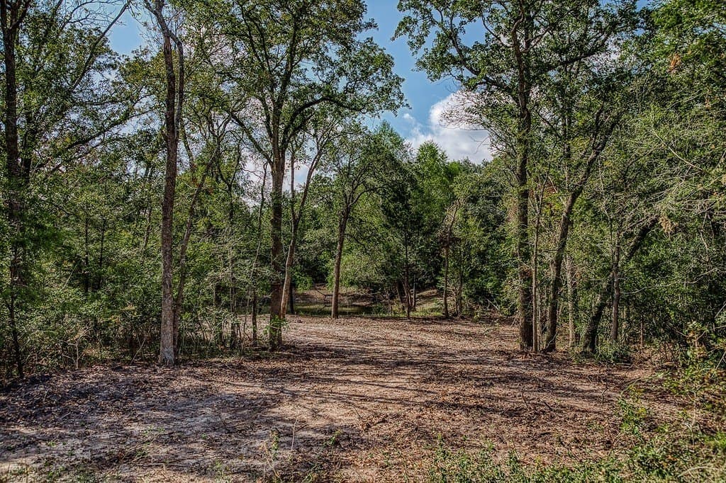 10 acres in Washington County - photo 19