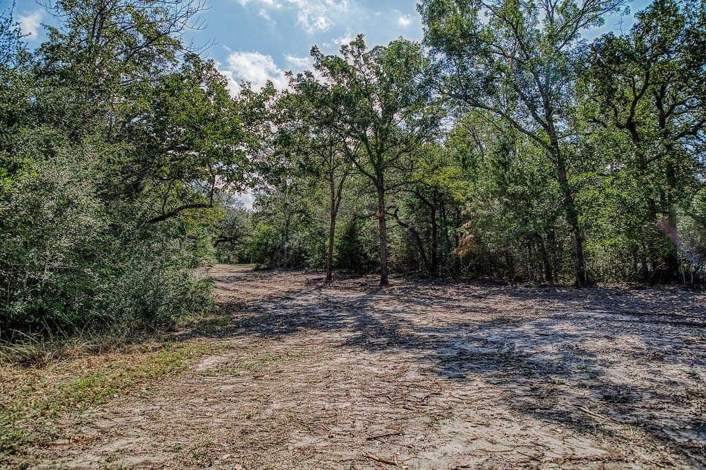 10 acres in Washington County - photo 14