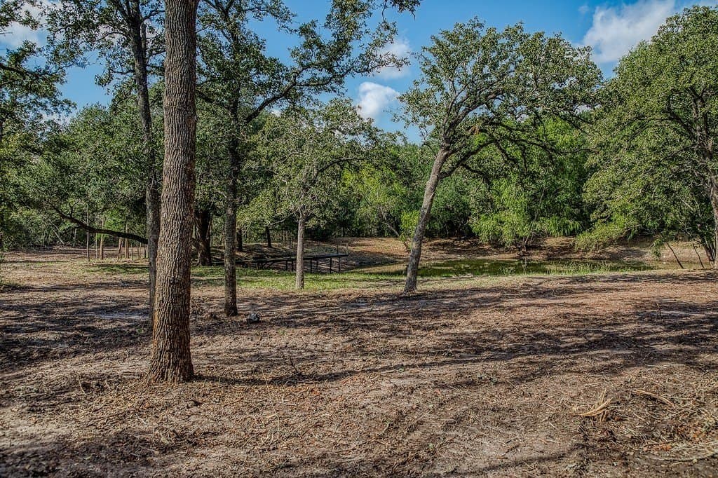 10 acres in Washington County - photo 16