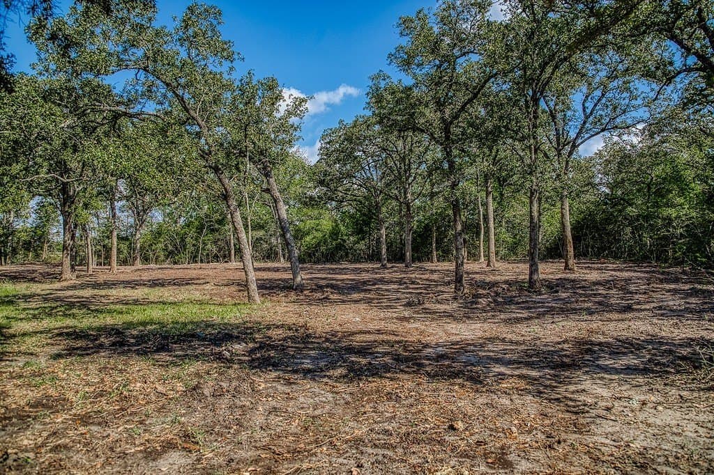 10 acres in Washington County - photo 13