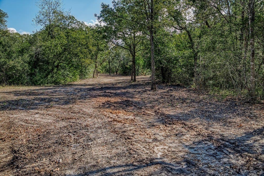 10 acres in Washington County - photo 9