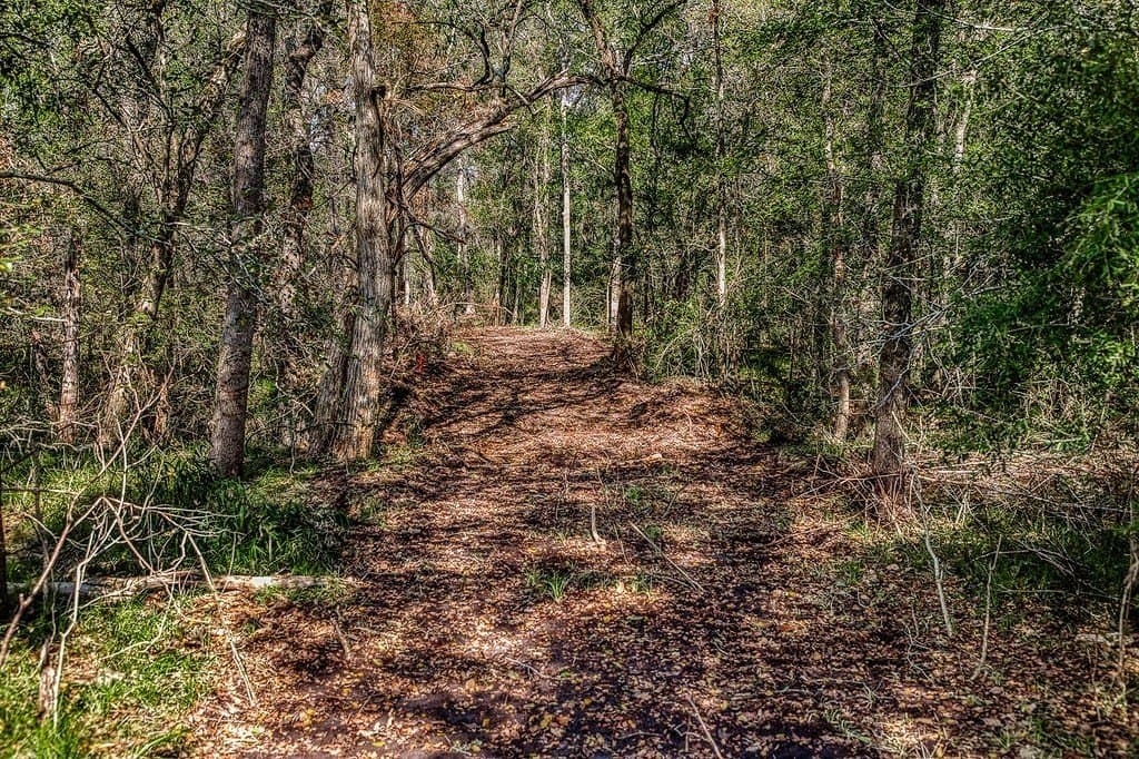 10 acres in Washington County - photo 7