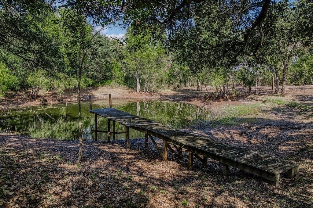10 acres in Washington County - photo 11