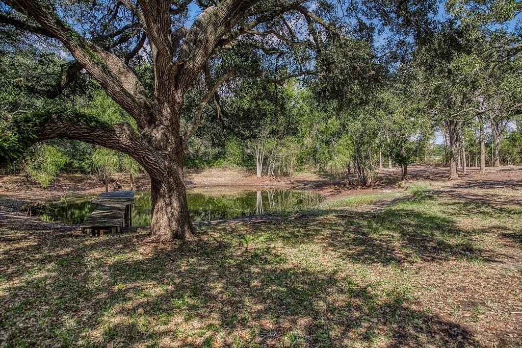 10 acres in Washington County - photo 12
