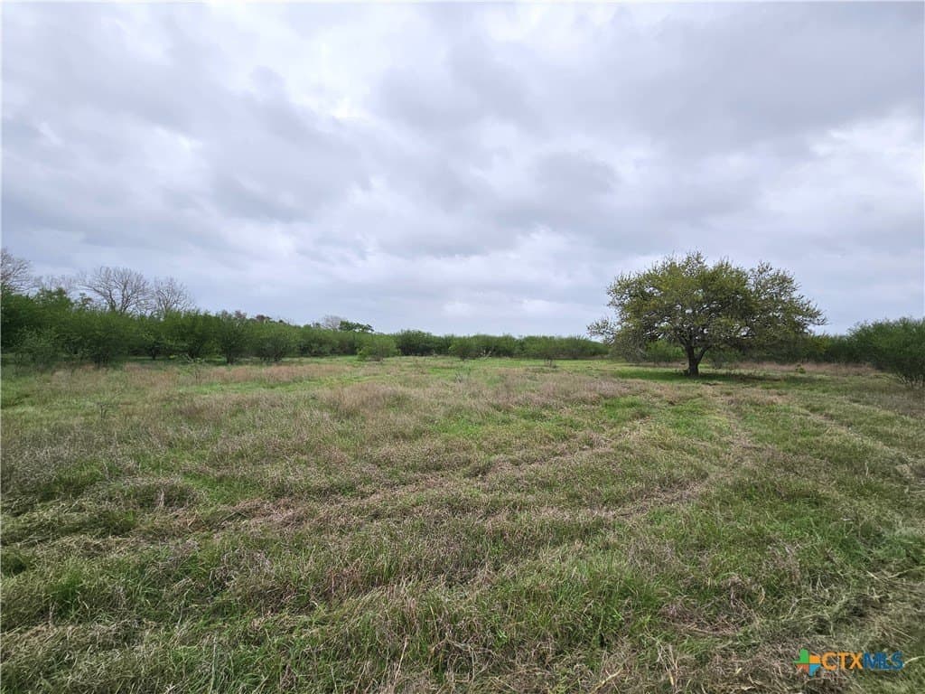 19.09 acres in DeWitt County - photo 23