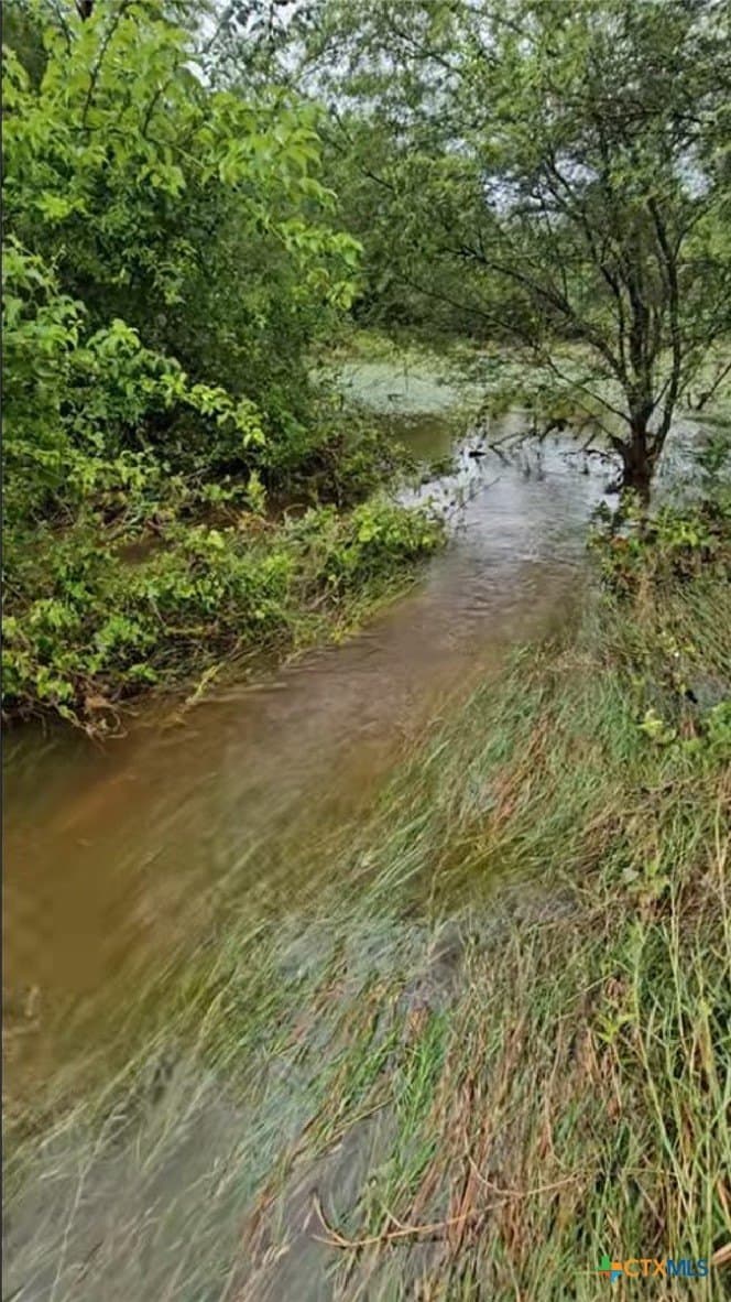 19.09 acres in DeWitt County - photo 41