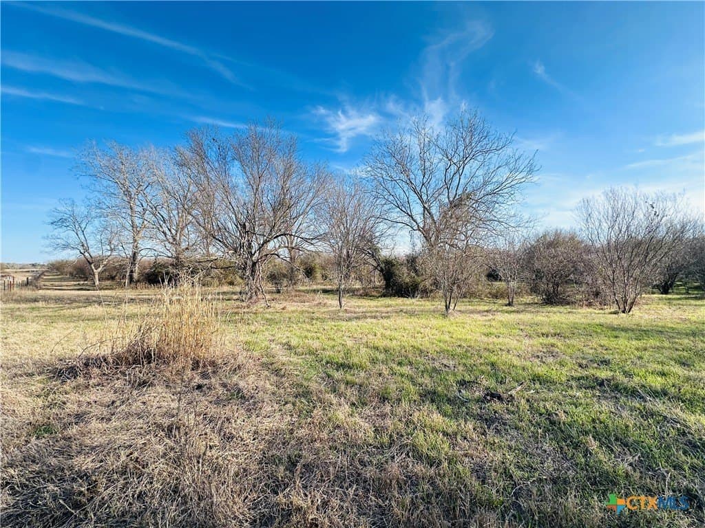 19.09 acres in DeWitt County - photo 16