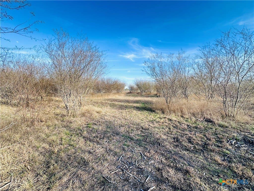 19.09 acres in DeWitt County - photo 10