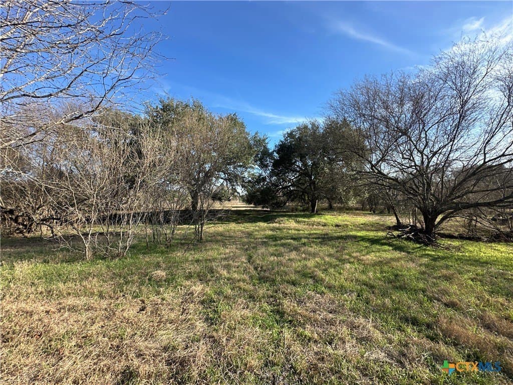 19.09 acres in DeWitt County - photo 24