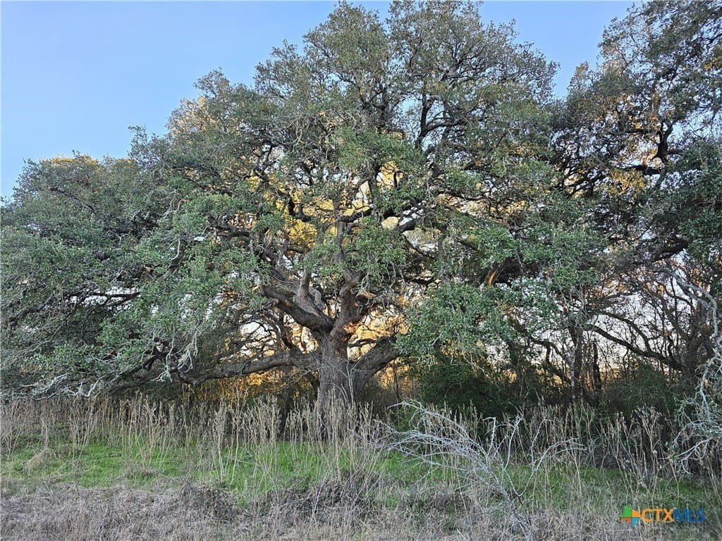 19.09 acres in DeWitt County - photo 20