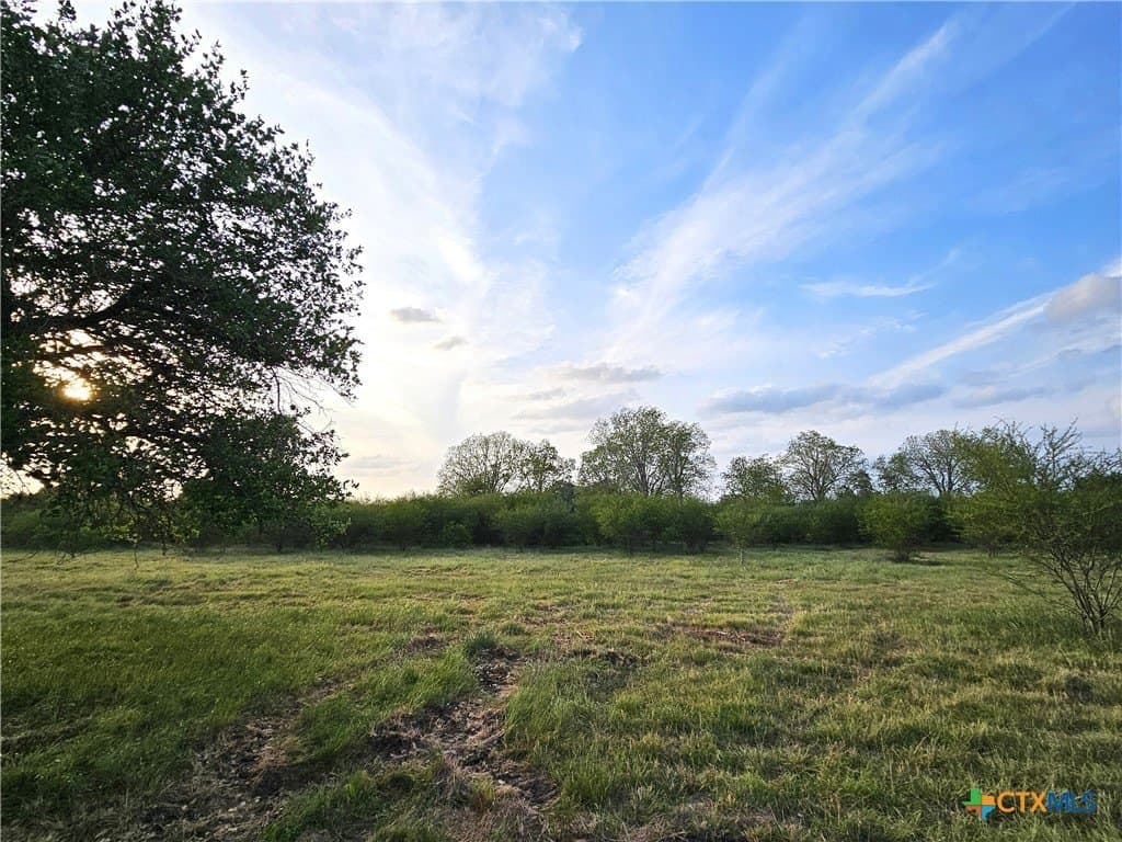 19.09 acres in DeWitt County - photo 40