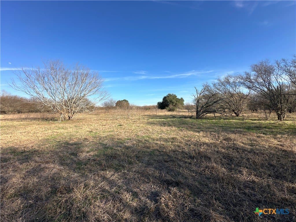 19.09 acres in DeWitt County - photo 26