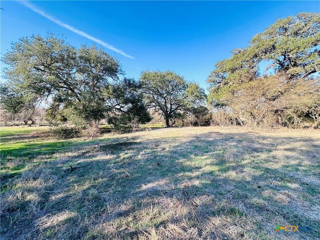 19.09 acres in DeWitt County - photo 30