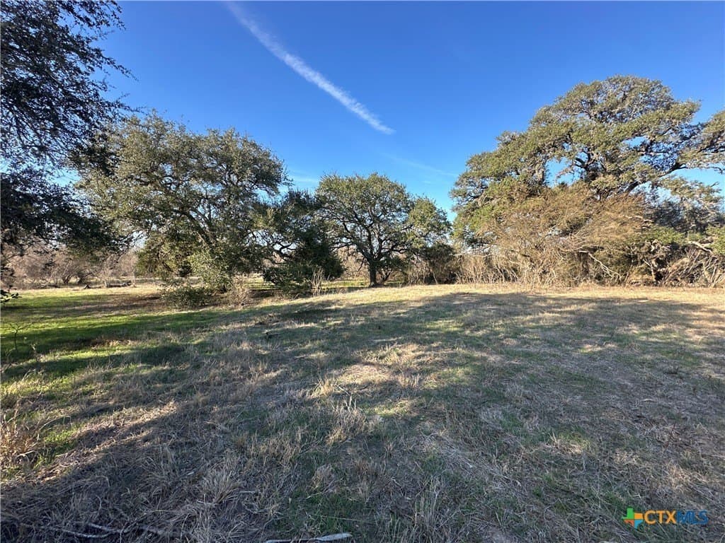 19.09 acres in DeWitt County - photo 14
