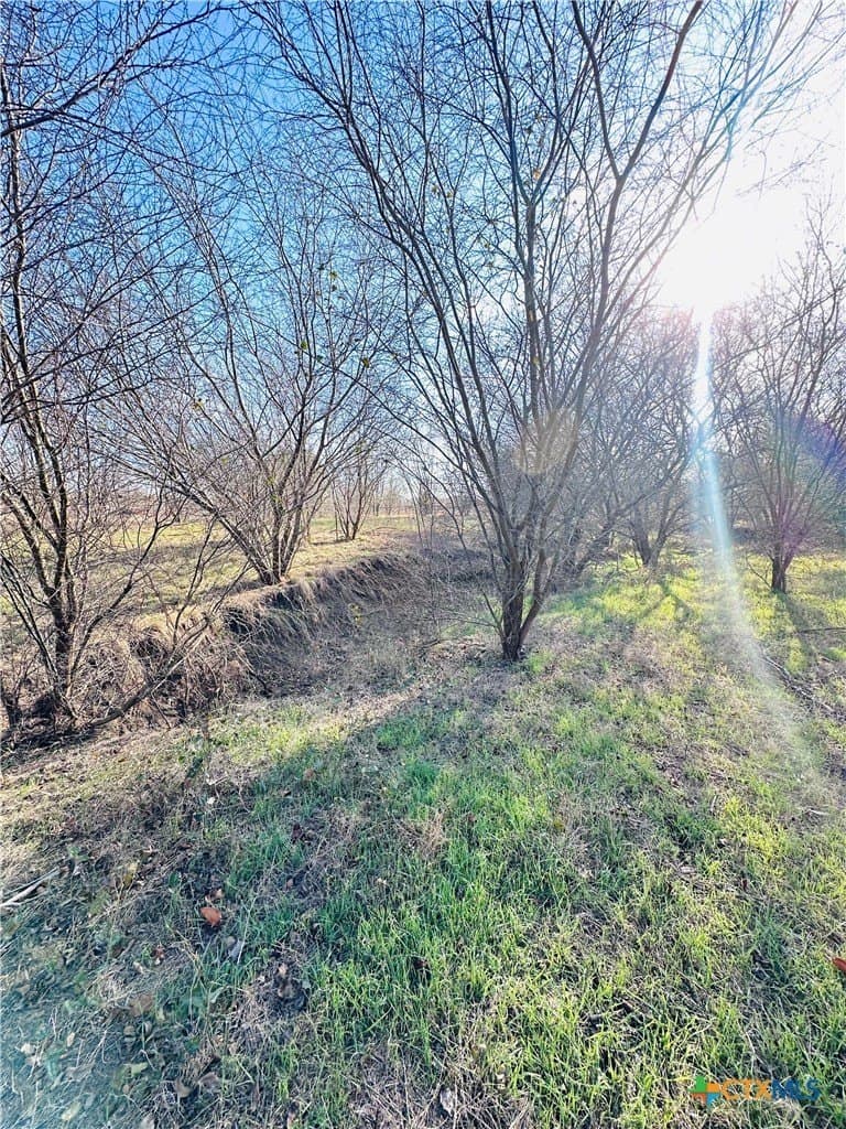 19.09 acres in DeWitt County - photo 34