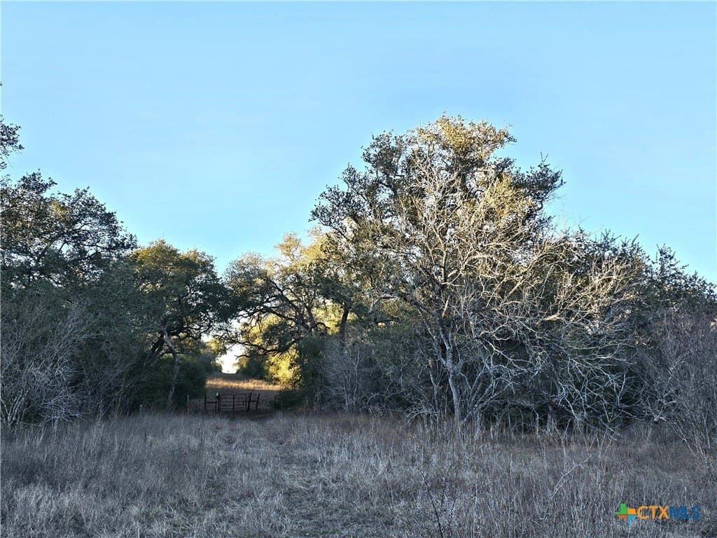 19.09 acres in DeWitt County - photo 37