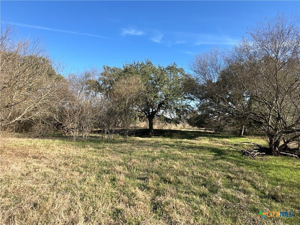 19.09 acres in DeWitt County - photo 19