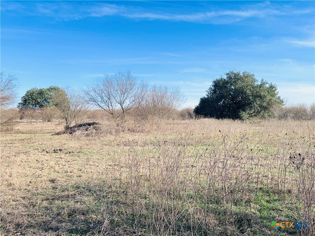 19.09 acres in DeWitt County - photo 31