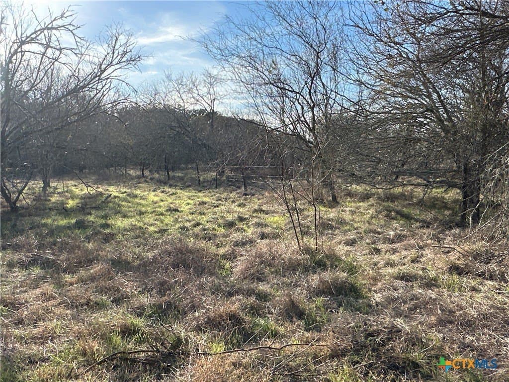 19.09 acres in DeWitt County - photo 27