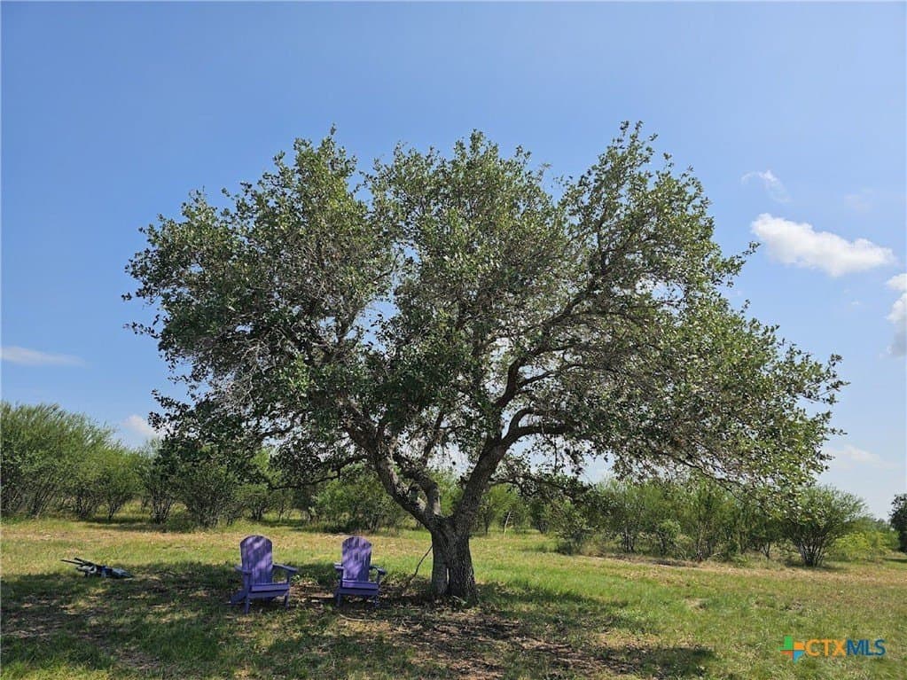 19.09 acres in DeWitt County - photo 42