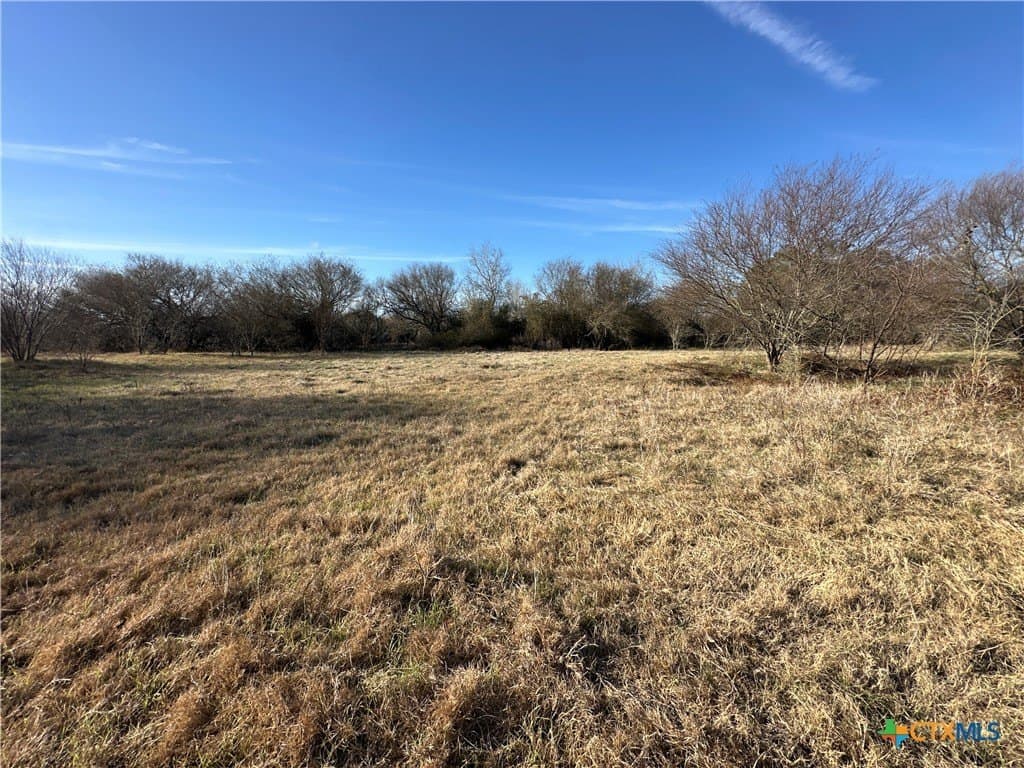 19.09 acres in DeWitt County - photo 28