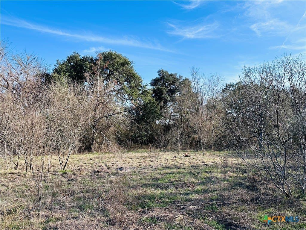 19.09 acres in DeWitt County - photo 22