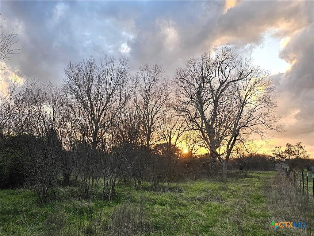19.09 acres in DeWitt County - photo 18