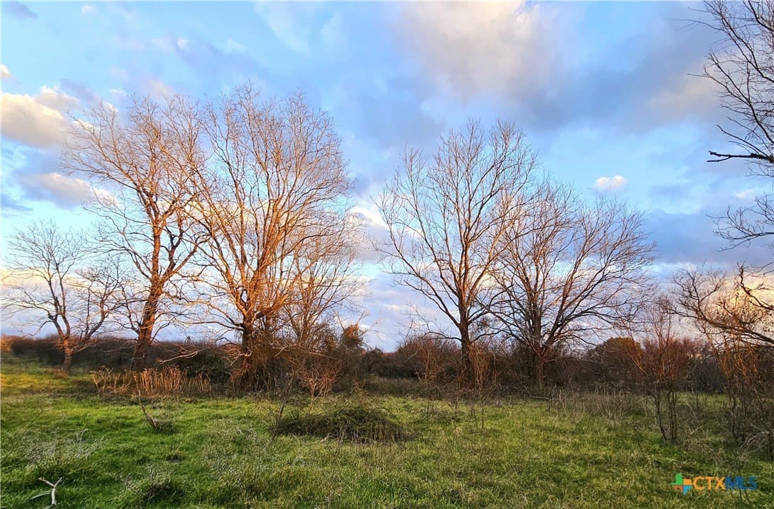 19.09 acres in DeWitt County - photo 15
