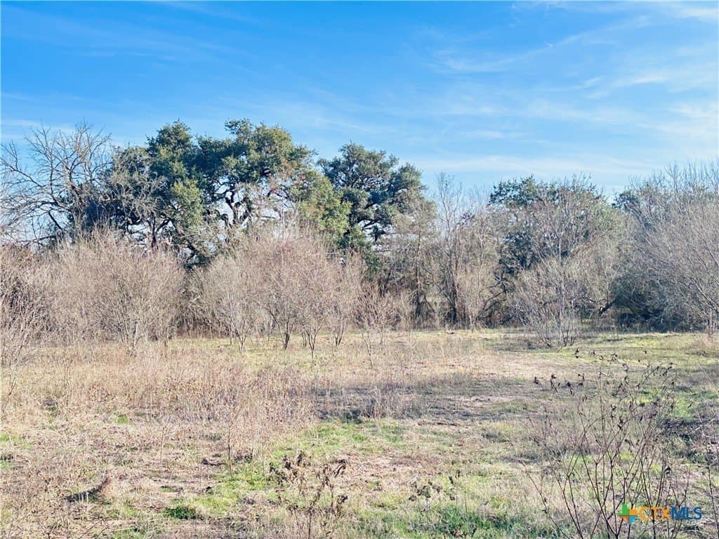 19.09 acres in DeWitt County - photo 17