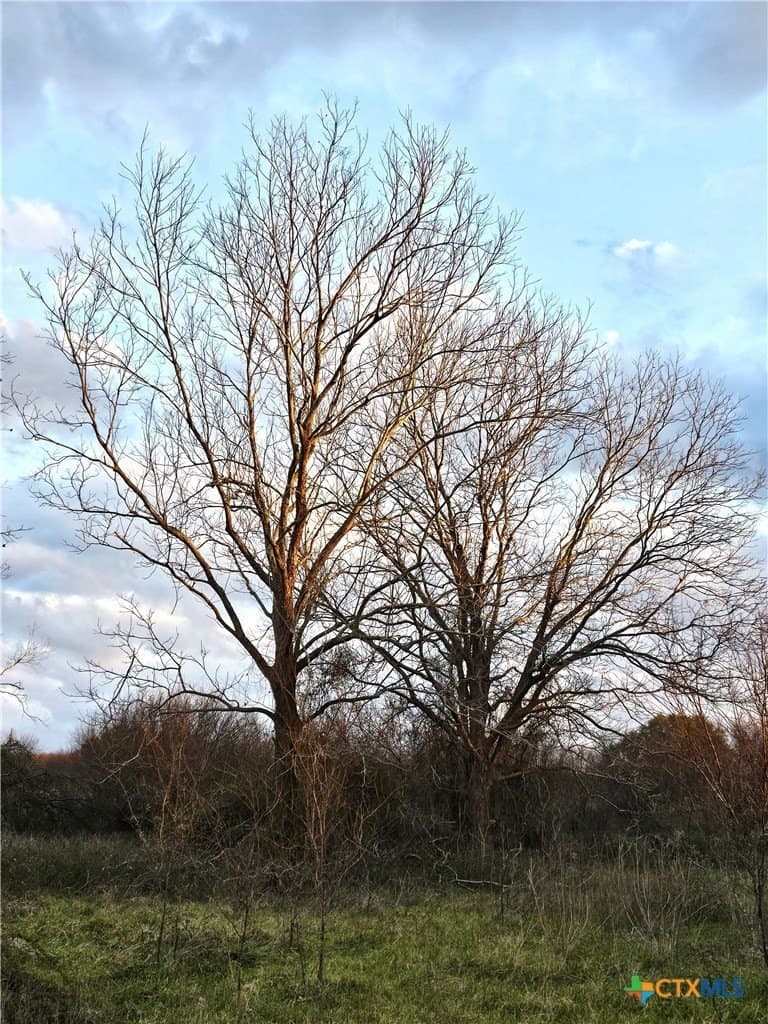 19.09 acres in DeWitt County - photo 32