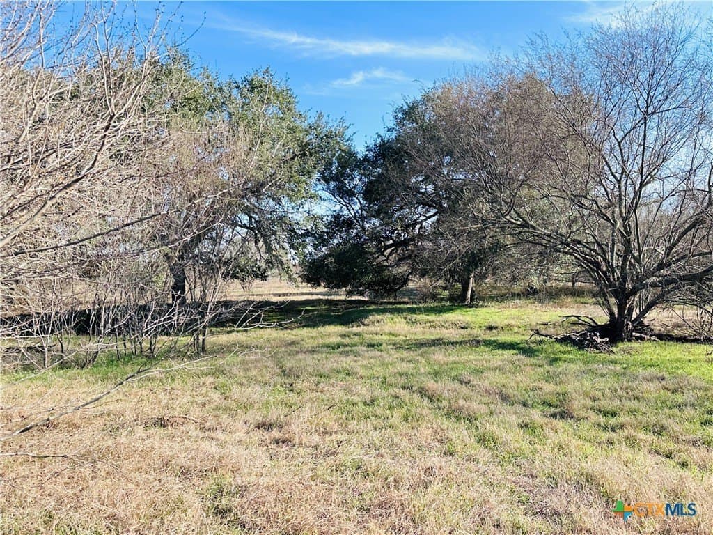 19.09 acres in DeWitt County - photo 33