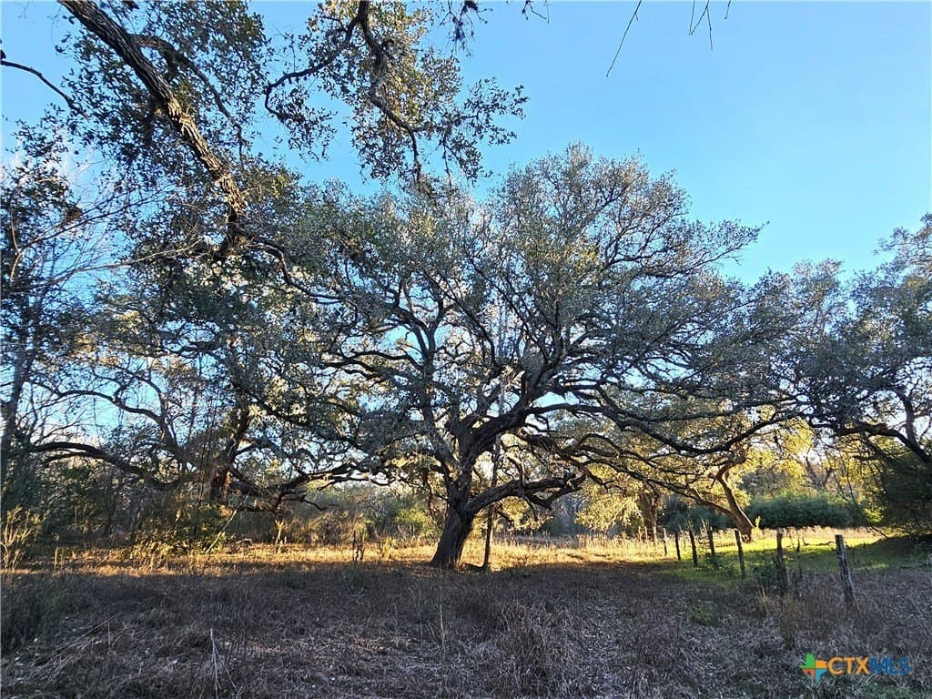 19.09 acres in DeWitt County - photo 38