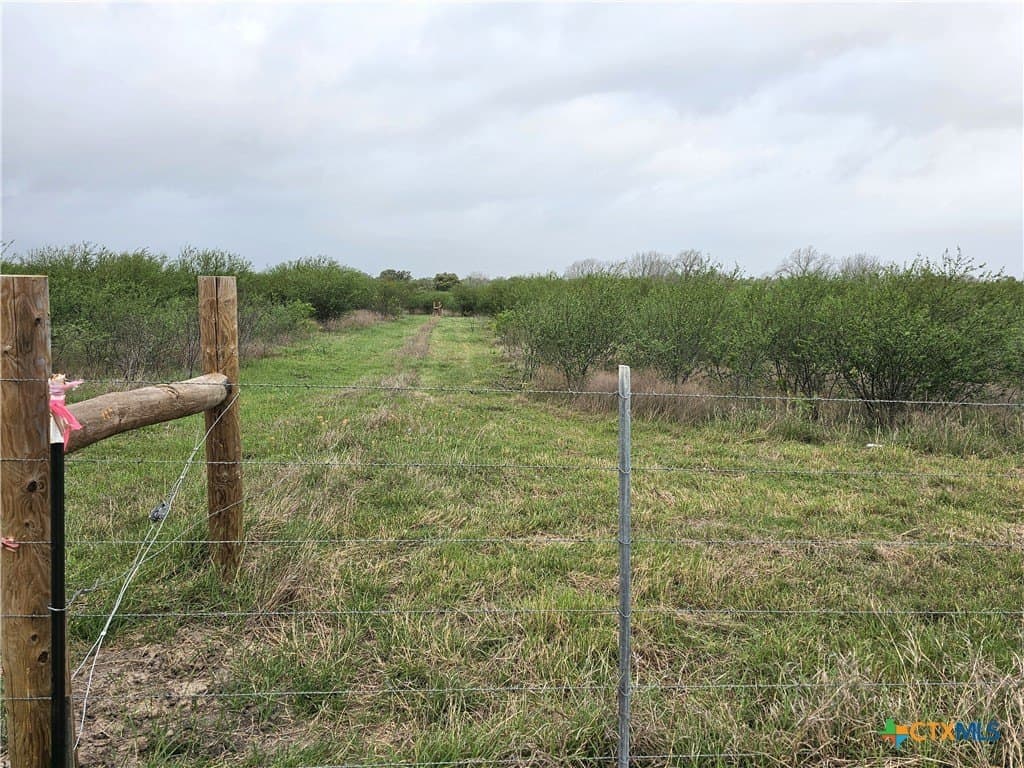 19.09 acres in DeWitt County - photo 39