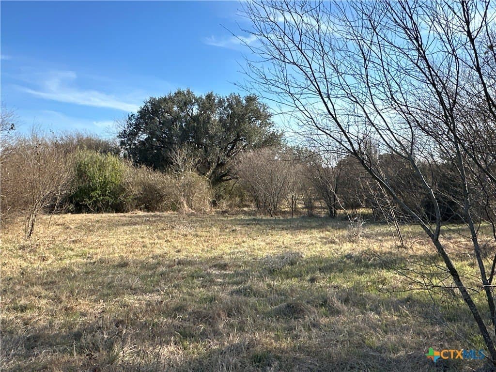 19.09 acres in DeWitt County - photo 29