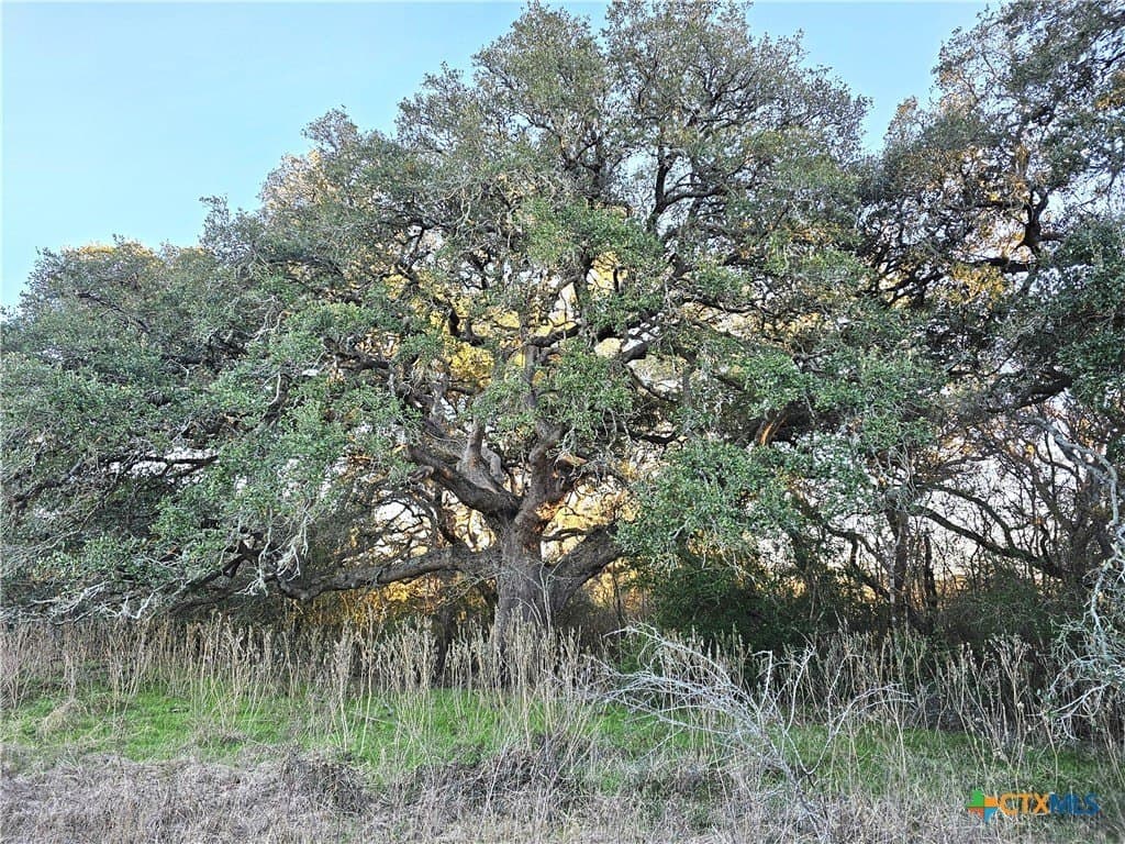 19.09 acres in DeWitt County - photo 13