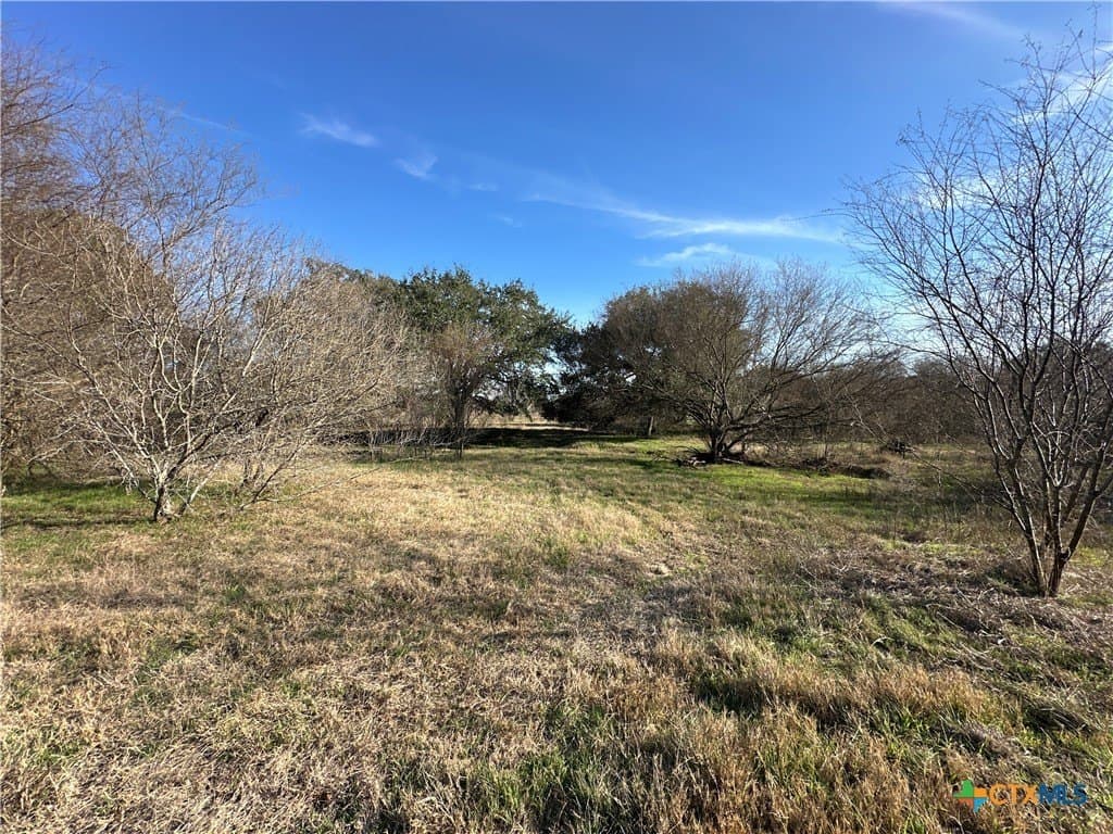 19.09 acres in DeWitt County - photo 25