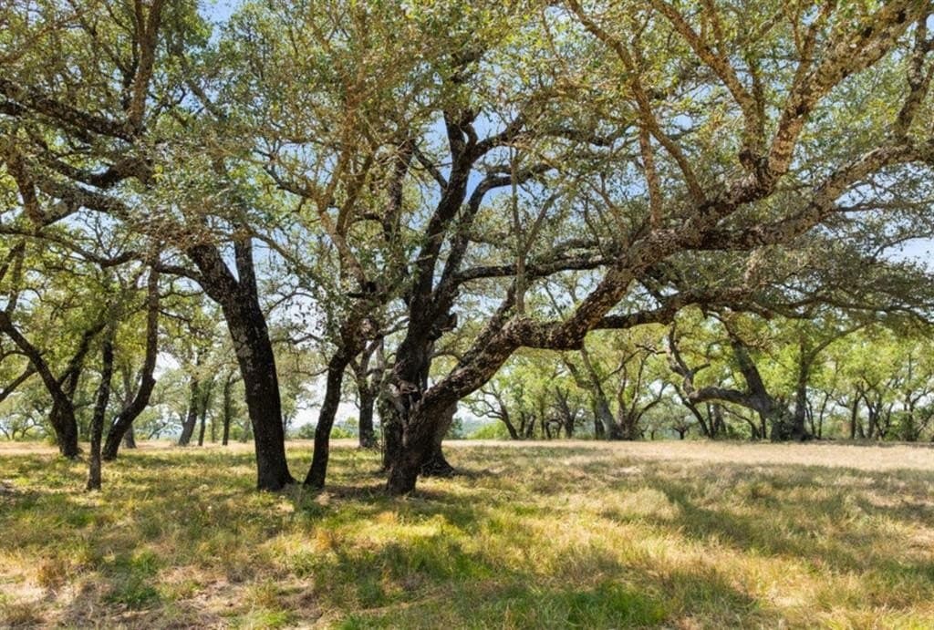 103.89 acres in Burnet County - photo 10