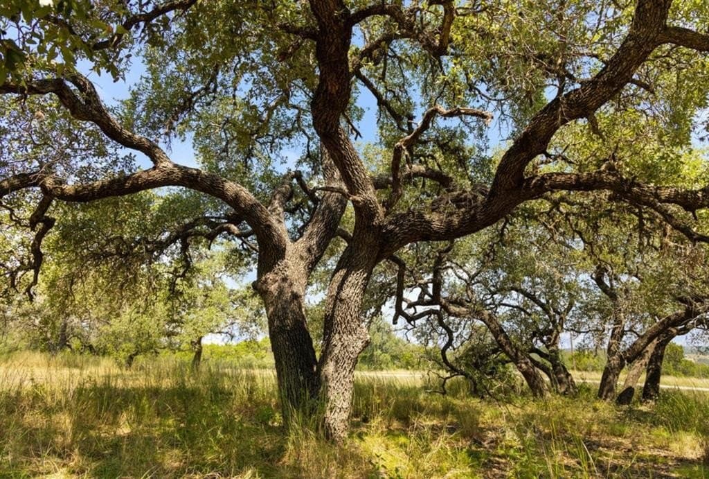 103.89 acres in Burnet County - photo 14