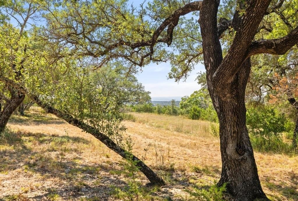 103.89 acres in Burnet County - photo 39