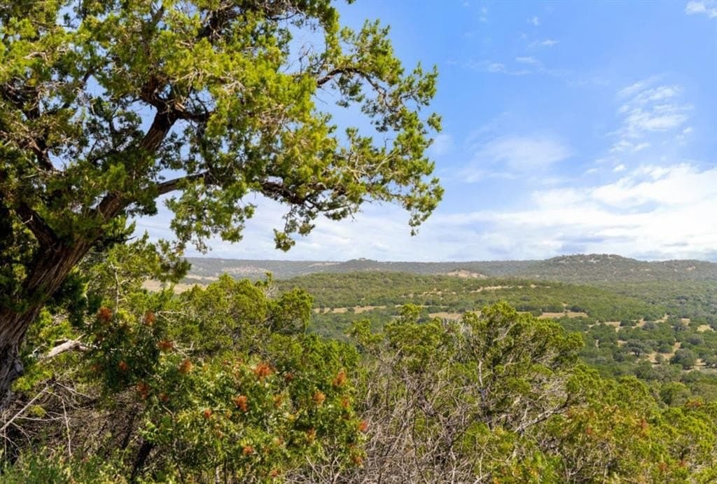 103.89 acres in Burnet County - photo 8