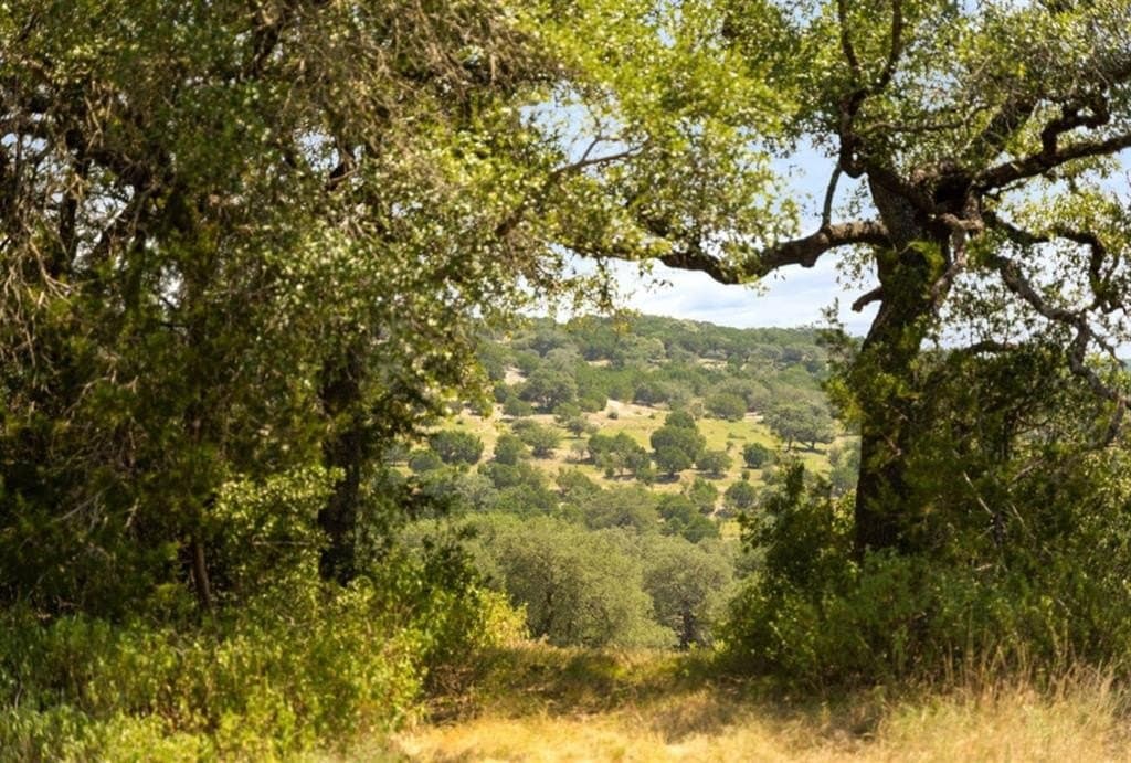 103.89 acres in Burnet County - photo 13