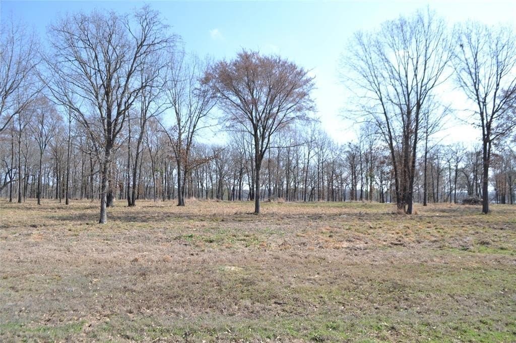 1.01 acres in Wood County - photo 4