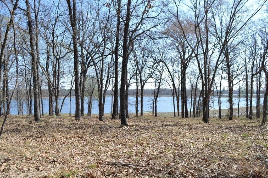 1.01 acres in Wood County - photo 3