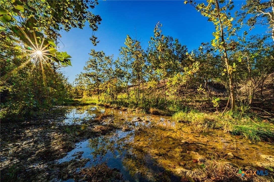 34.25 acres in Bell County - photo 4