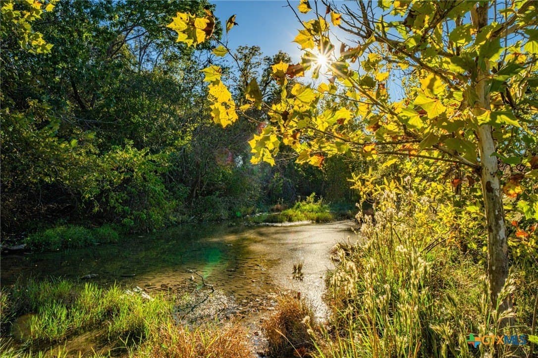 34.25 acres in Bell County - photo 7