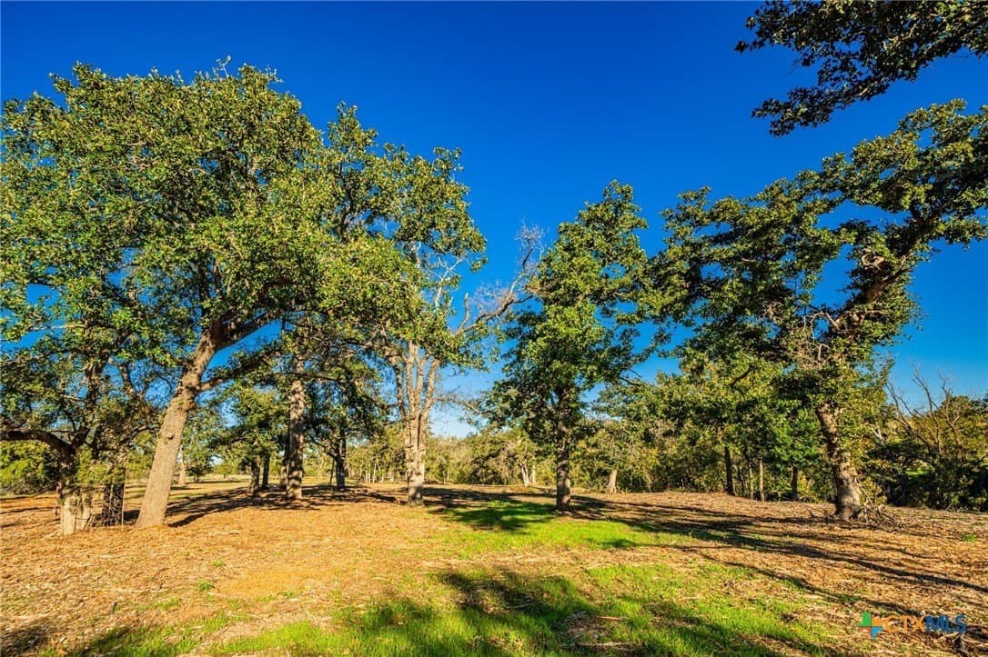 34.25 acres in Bell County - photo 15